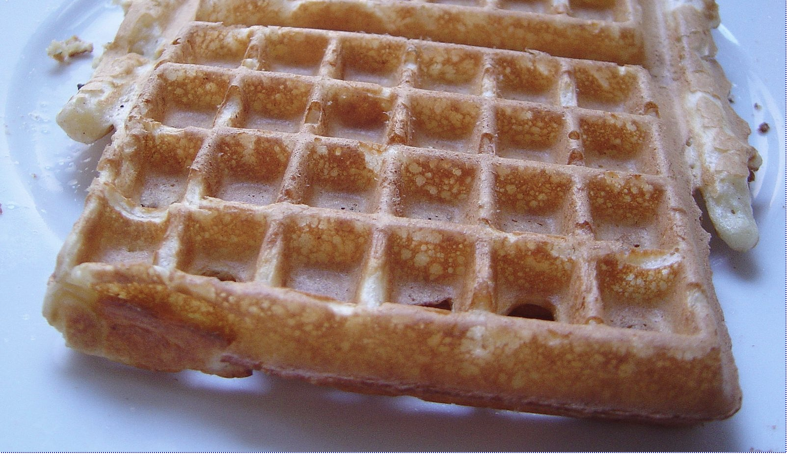 wafels.png